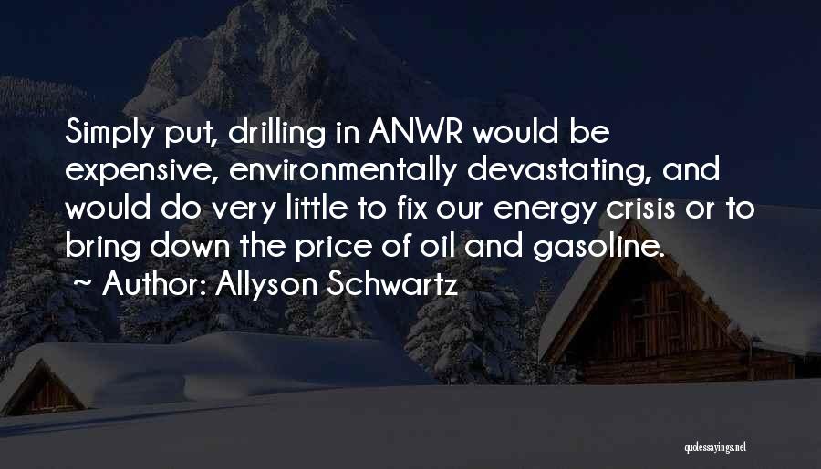 Energy Crisis Quotes By Allyson Schwartz