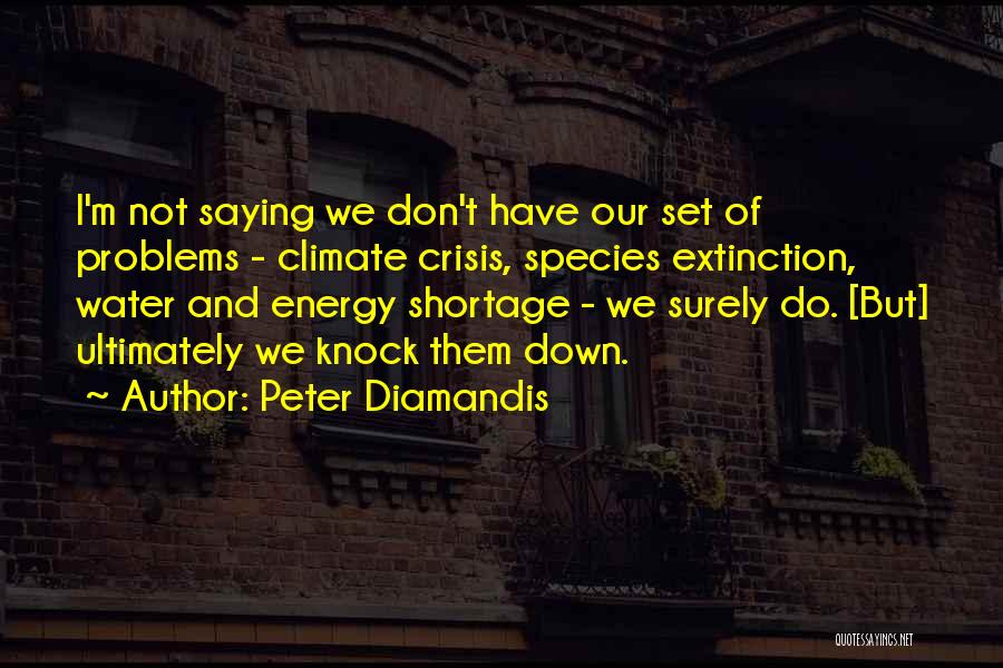 Energy Crisis Quotes By Peter Diamandis