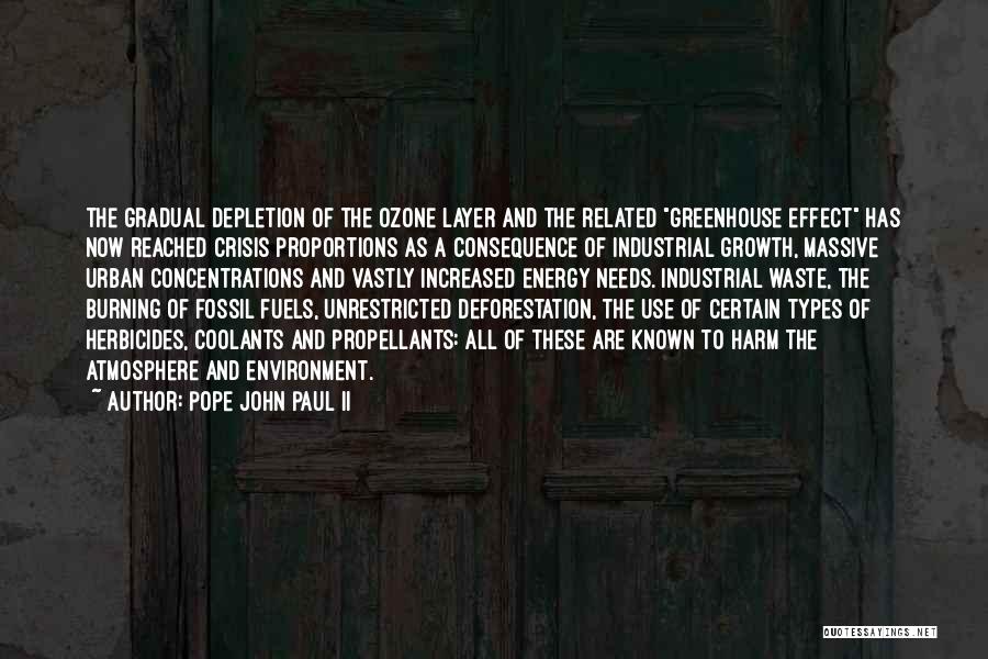Energy Crisis Quotes By Pope John Paul II