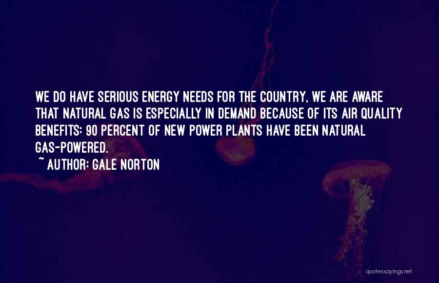 Energy Demand Quotes By Gale Norton