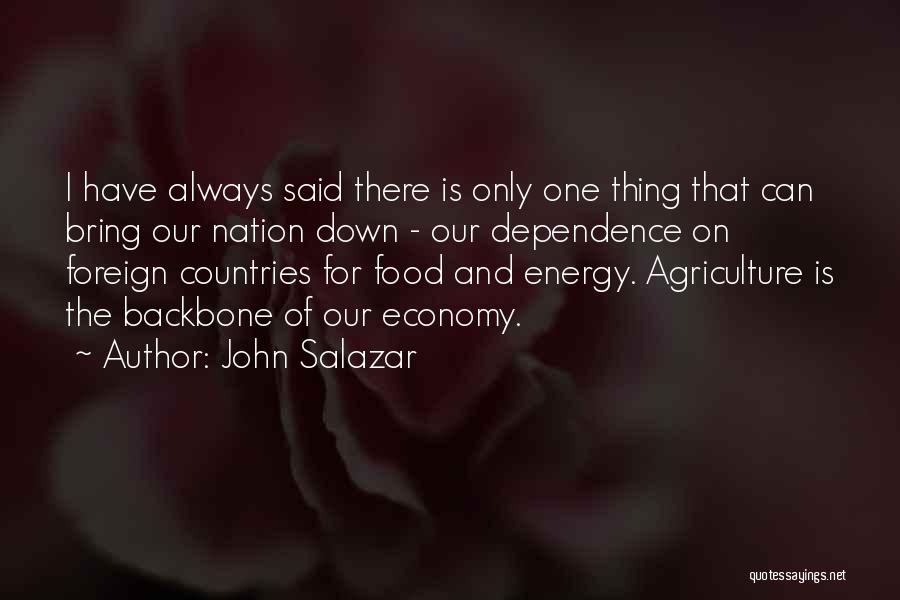 Energy Dependence Quotes By John Salazar