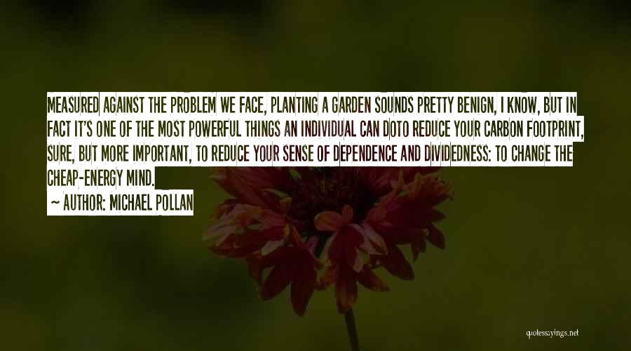 Energy Dependence Quotes By Michael Pollan