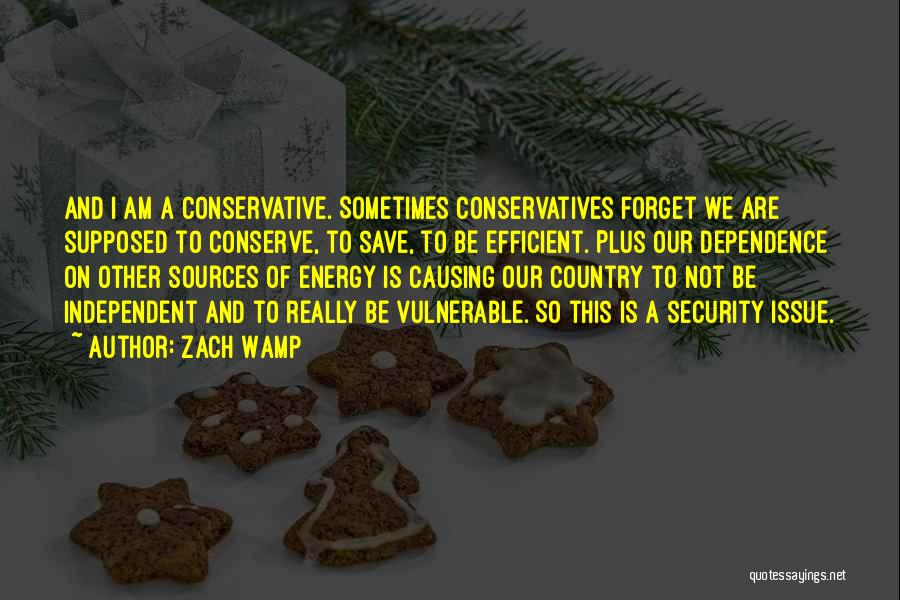 Energy Dependence Quotes By Zach Wamp