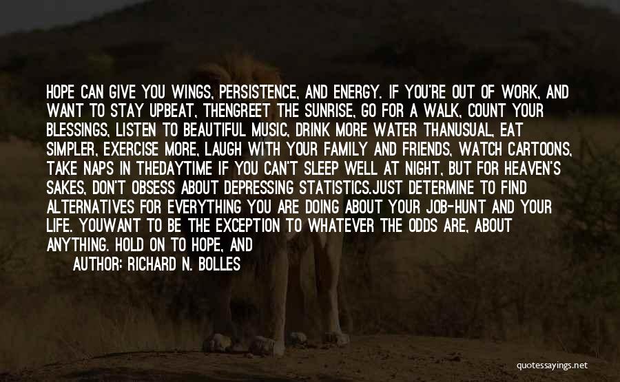 Energy Drink Quotes By Richard N. Bolles