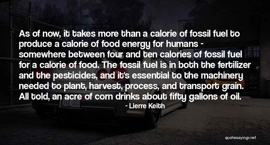 Energy Drinks Quotes By Lierre Keith