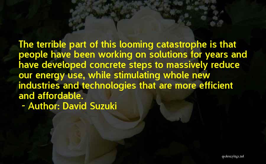 Energy Efficient Quotes By David Suzuki