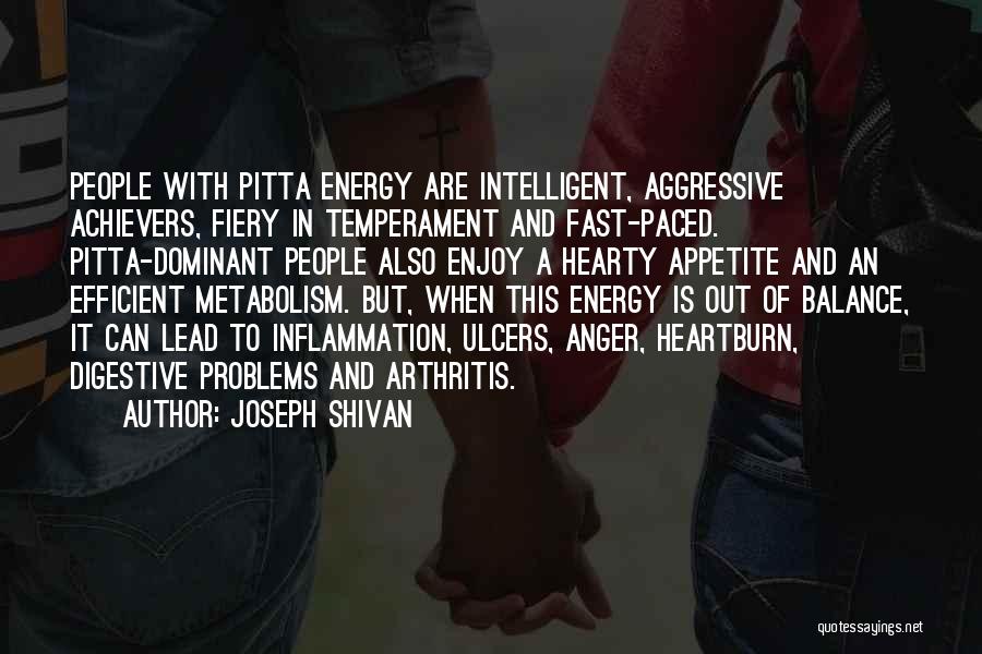 Energy Efficient Quotes By Joseph Shivan