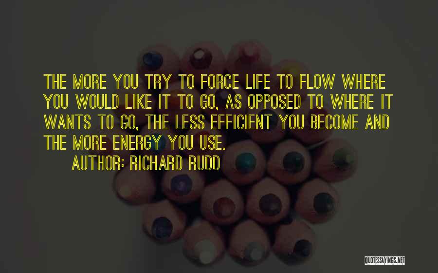 Energy Efficient Quotes By Richard Rudd