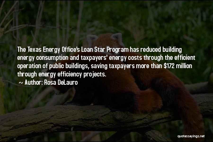 Energy Efficient Quotes By Rosa DeLauro