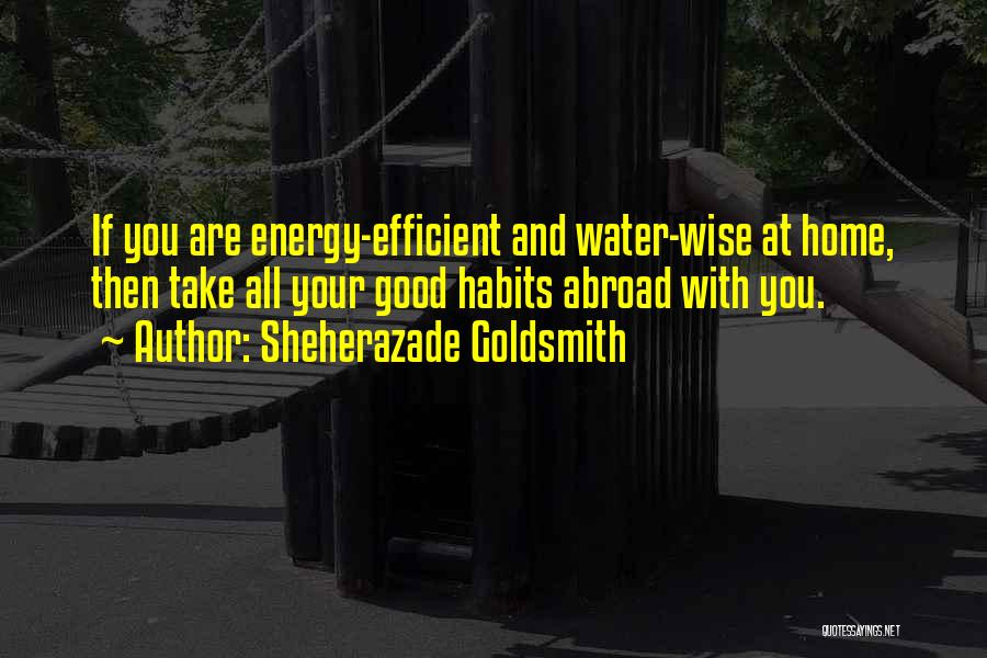 Energy Efficient Quotes By Sheherazade Goldsmith