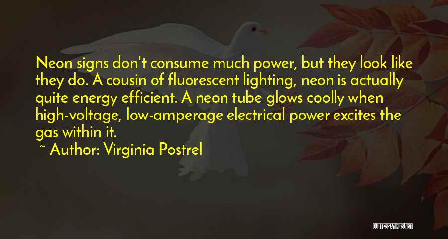 Energy Efficient Quotes By Virginia Postrel