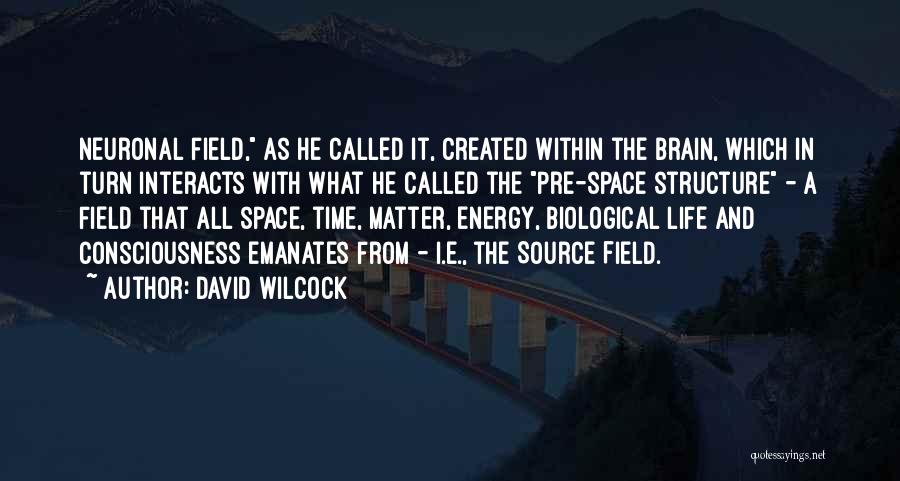 Energy Field Quotes By David Wilcock