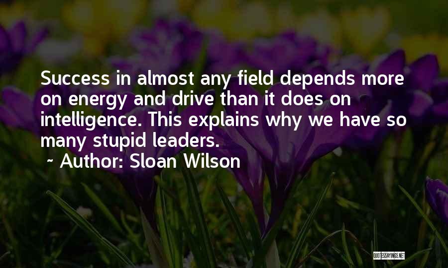 Energy Field Quotes By Sloan Wilson