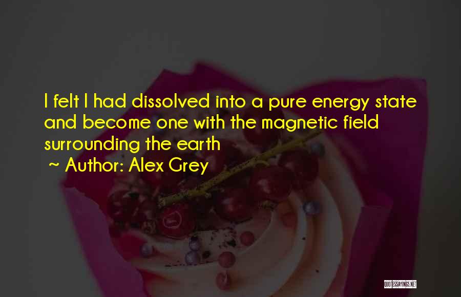 Energy Fields Quotes By Alex Grey