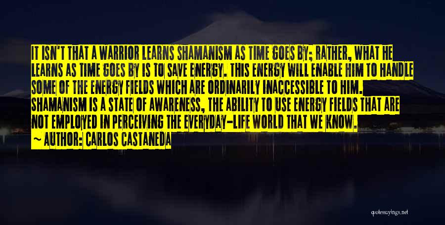 Energy Fields Quotes By Carlos Castaneda