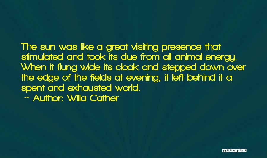 Energy Fields Quotes By Willa Cather