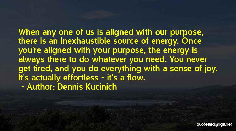 Energy Flow Quotes By Dennis Kucinich