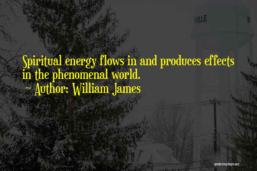 Energy Flow Quotes By William James