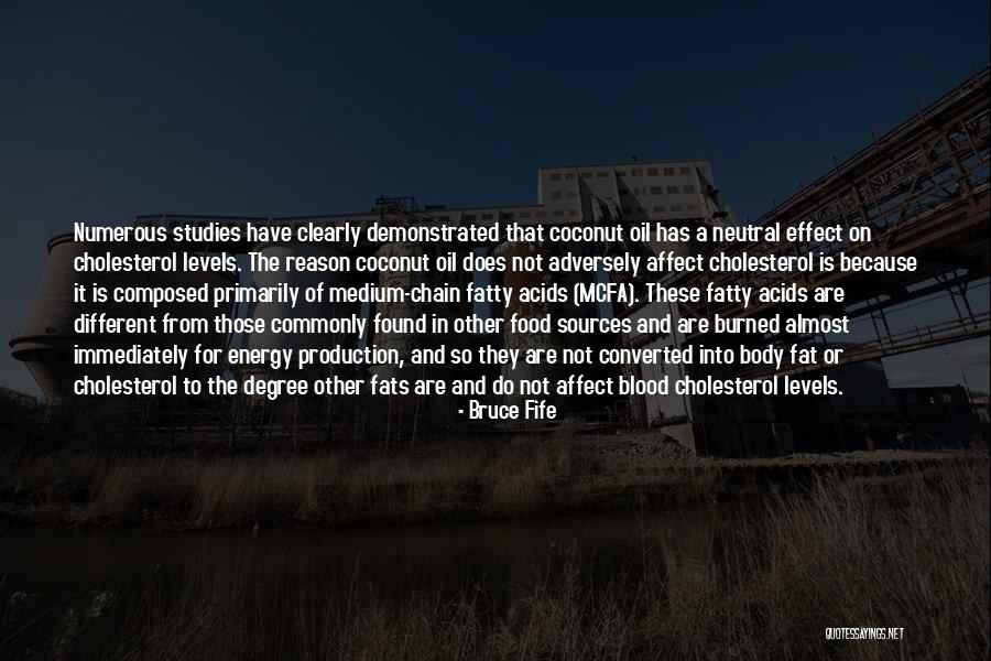 Energy Food Quotes By Bruce Fife Energy Food Quotes By Bruce Fife