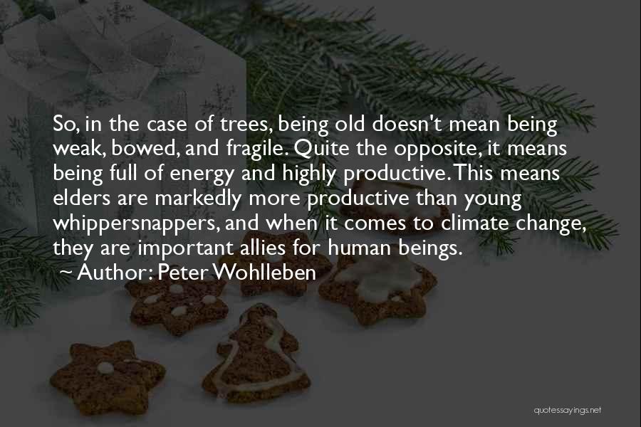 Energy Full Quotes By Peter Wohlleben