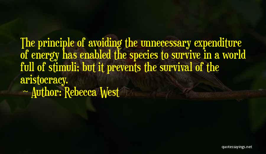Energy Full Quotes By Rebecca West