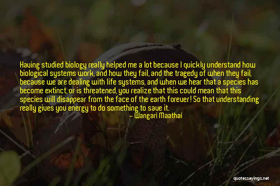Energy Giving Quotes By Wangari Maathai Energy Giving Quotes By Wangari Maathai