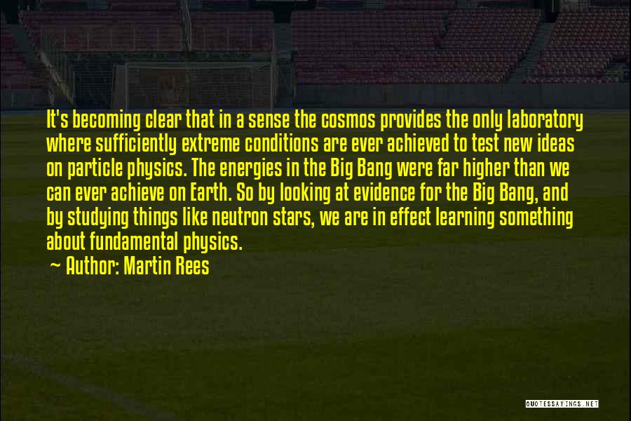 Energy In Physics Quotes By Martin Rees