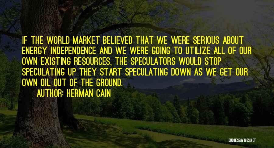 Energy Independence Quotes By Herman Cain