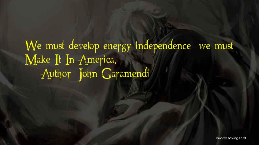 Energy Independence Quotes By John Garamendi