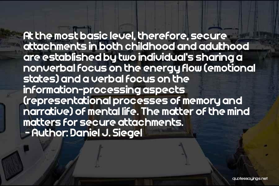 Energy Level Life Quotes By Daniel J. Siegel