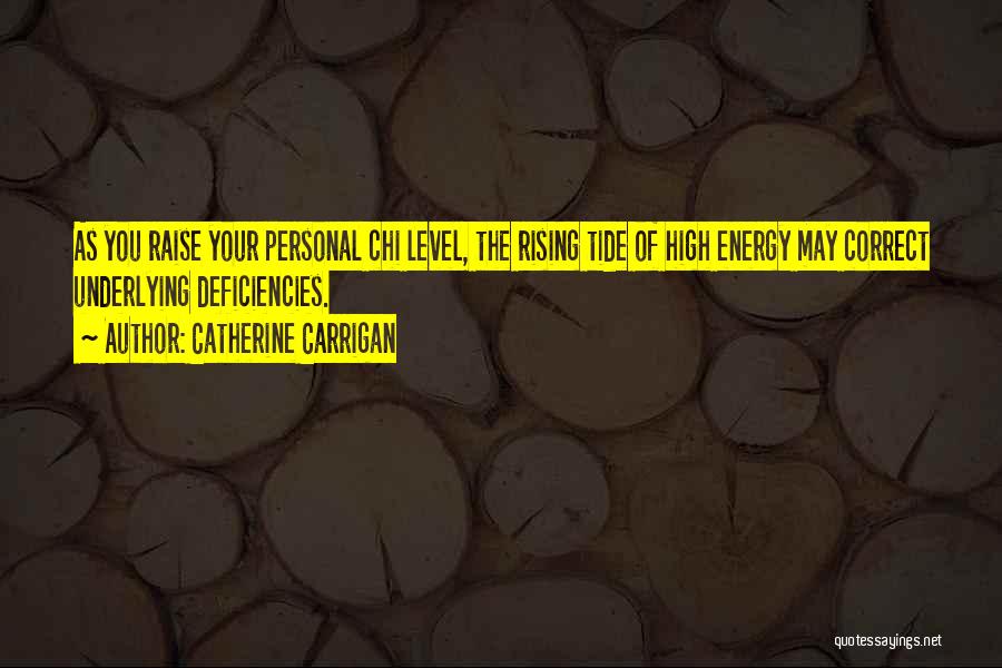 Energy Level Quotes By Catherine Carrigan