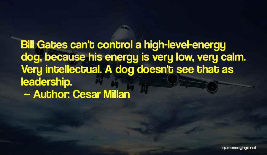 Energy Level Quotes By Cesar Millan