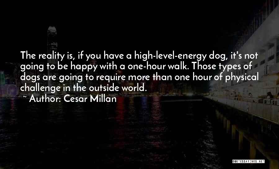 Energy Level Quotes By Cesar Millan