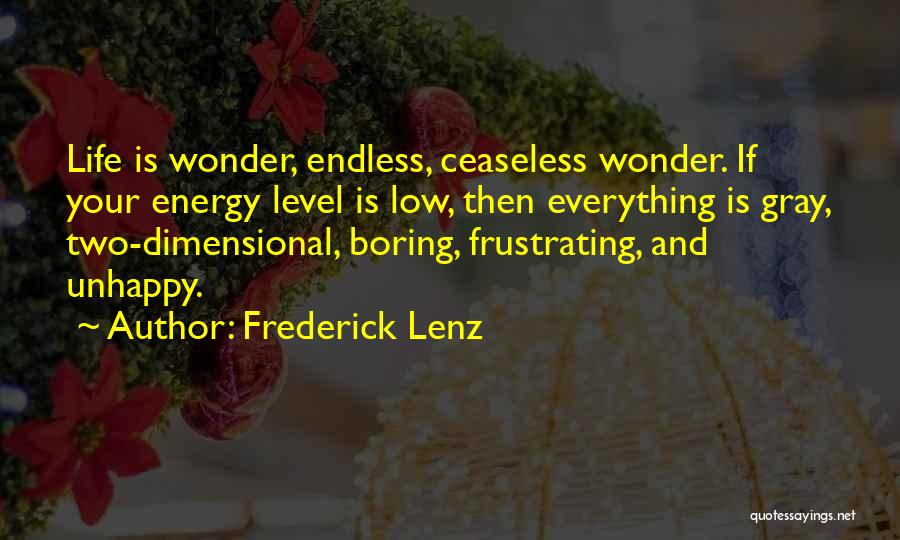 Energy Level Quotes By Frederick Lenz