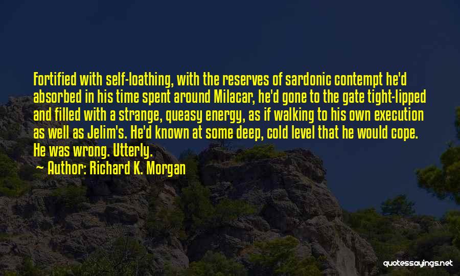 Energy Level Quotes By Richard K. Morgan