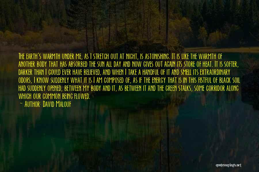 Energy Of Nature Quotes By David Malouf