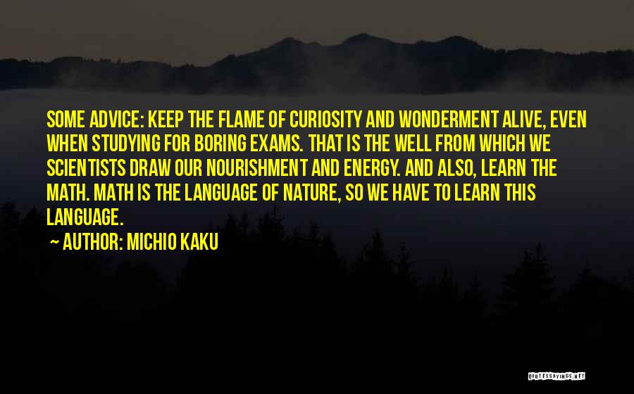 Energy Of Nature Quotes By Michio Kaku