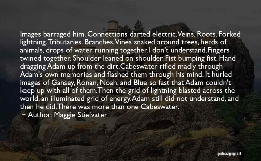 Energy Of The Mind Quotes By Maggie Stiefvater
