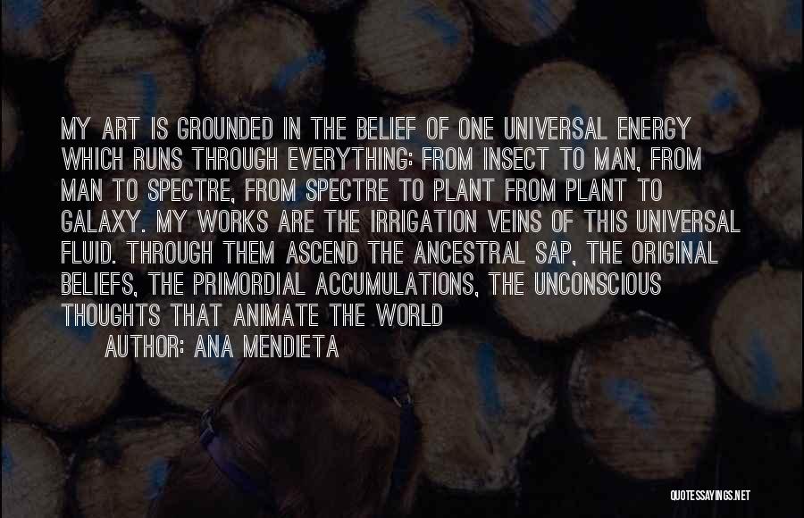 Energy Of The World Quotes By Ana Mendieta