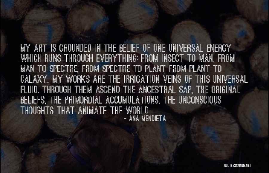 Energy Of The World Quotes By Ana Mendieta