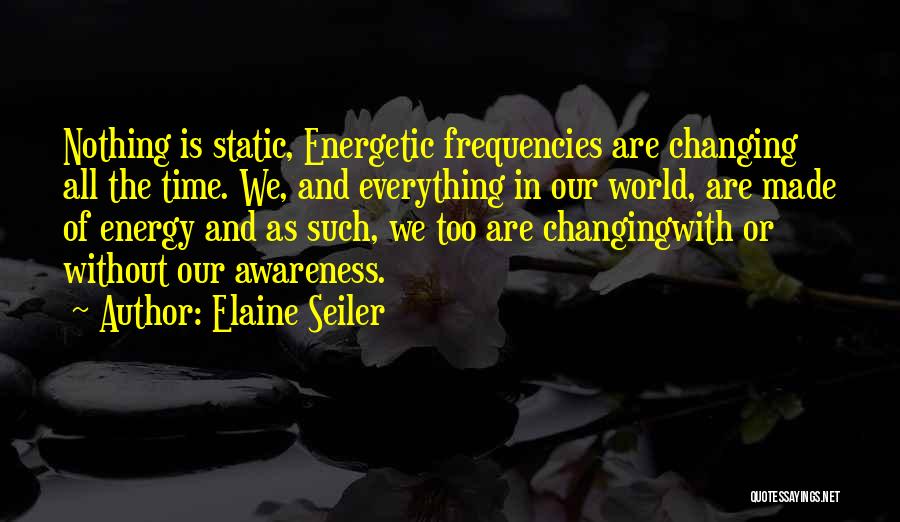 Energy Of The World Quotes By Elaine Seiler