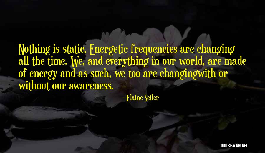 Energy Of The World Quotes By Elaine Seiler