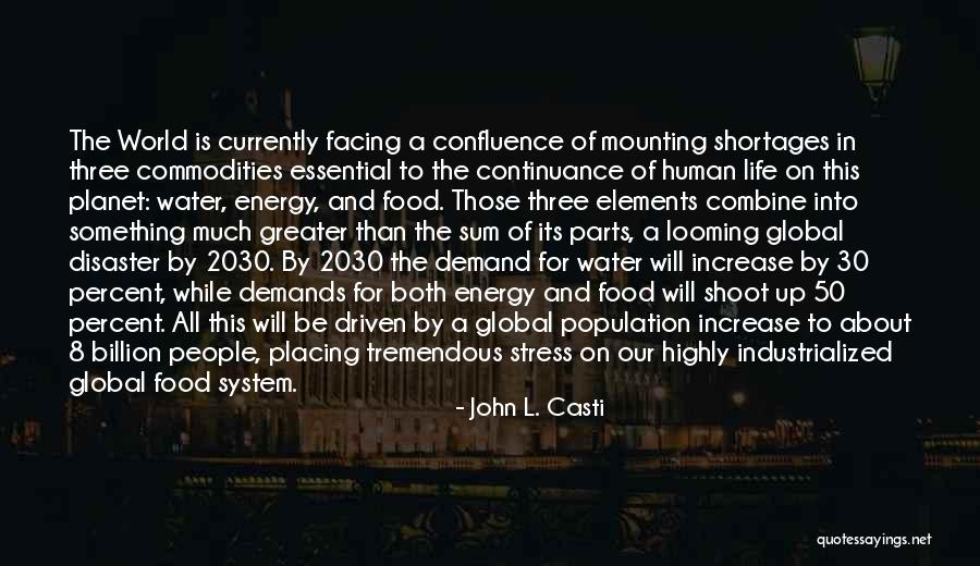 Energy Of The World Quotes By John L. Casti