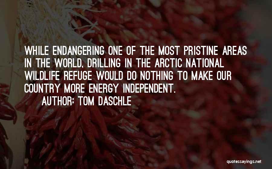 Energy Of The World Quotes By Tom Daschle