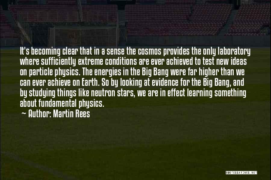 Energy Physics Quotes By Martin Rees
