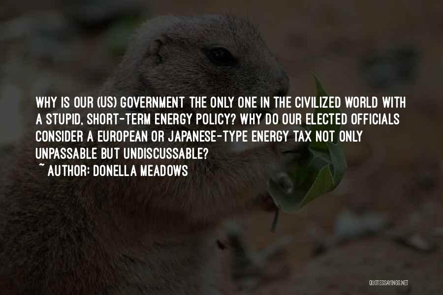 Energy Policy Quotes By Donella Meadows