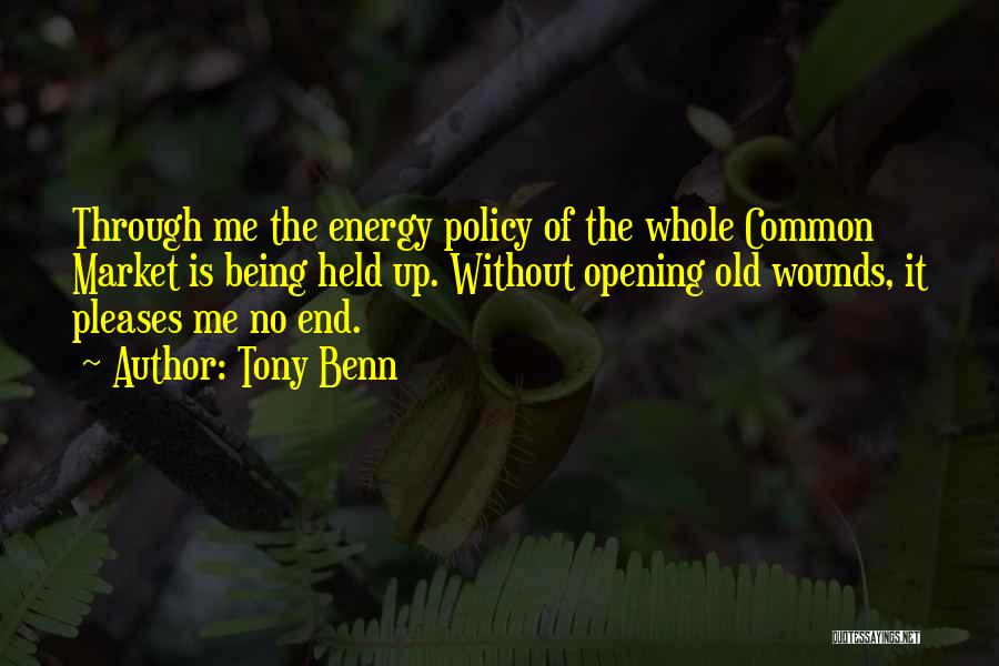 Energy Policy Quotes By Tony Benn