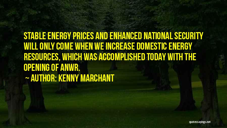 Energy Resources Quotes By Kenny Marchant