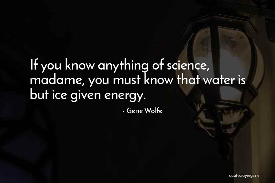 Energy Science Quotes By Gene Wolfe