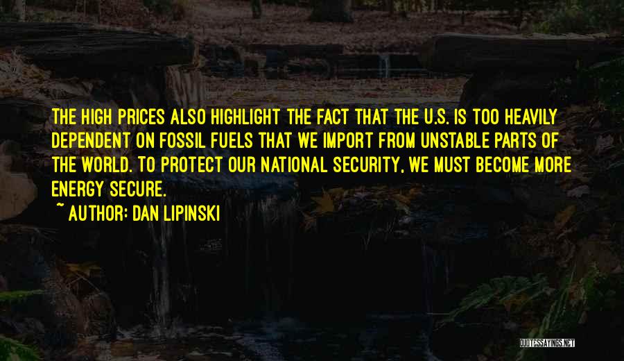 Energy Security Quotes By Dan Lipinski